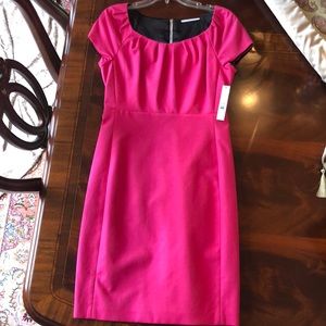 NEW W TAGS Tahari Pink Perla Work Dress - Size 6